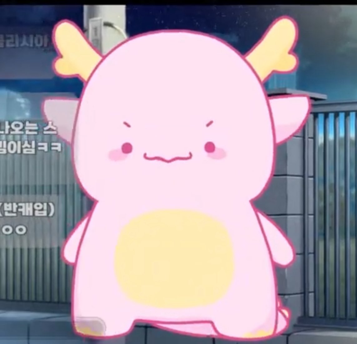 료아 リョーア 🎓 / 메인트 tweet media