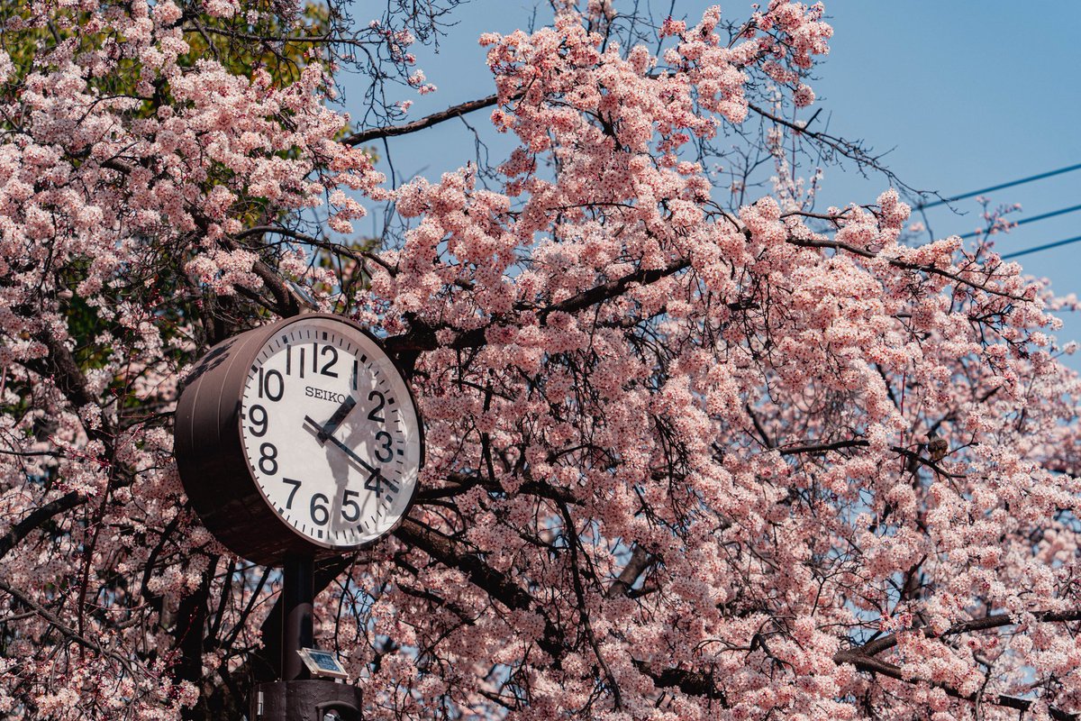 接吻怪獸-188大叔 tweet media