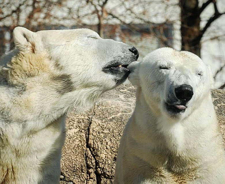 おやびん tweet media