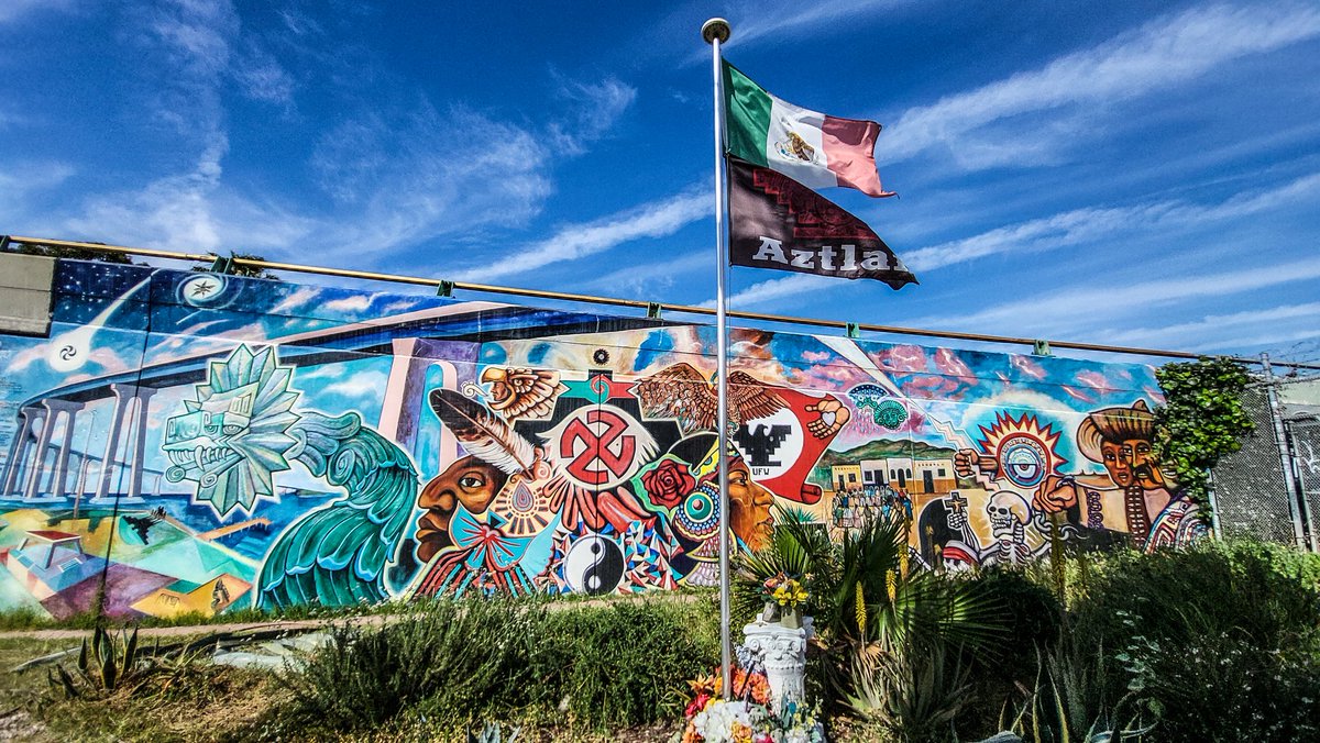 Based Taco 🌮 tweet media