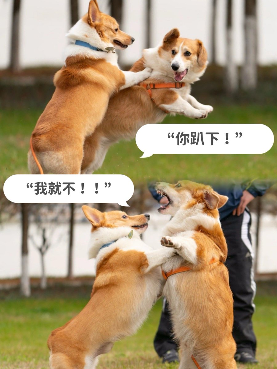 Matthew Martone tweet media