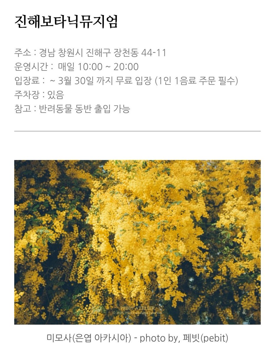 meaningless tweet media