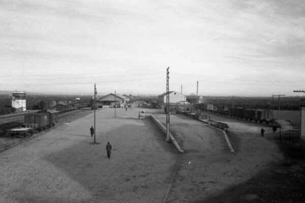 ASFA (bot) tweet media