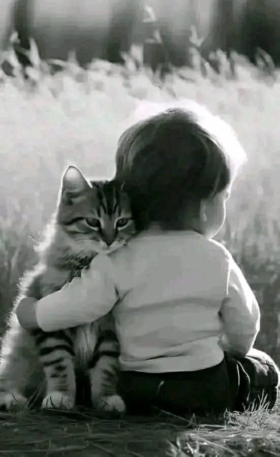 Rebeka80721106's tweet image. “Nella vita, porta con te solo ciò che ti rende felice”.
@DonatoMarinelli @dida_di @DavLucia @albertopetro2 @SalaLettura @Mercurimc @sorridicncausa @672Cilia @scimonelli @rende2013 @Biagio960 @giusyoni @Dedalus12470353 #BuonaDomenicaATutti💞
#HappySunday
#BomDia
#Bonjour
#22marzo