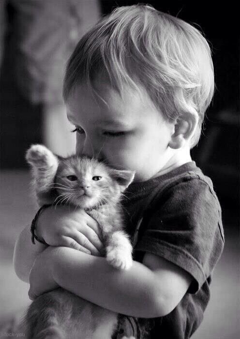 Rebeka80721106's tweet image. “Nella vita, porta con te solo ciò che ti rende felice”.
@DonatoMarinelli @dida_di @DavLucia @albertopetro2 @SalaLettura @Mercurimc @sorridicncausa @672Cilia @scimonelli @rende2013 @Biagio960 @giusyoni @Dedalus12470353 #BuonaDomenicaATutti💞
#HappySunday
#BomDia
#Bonjour
#22marzo