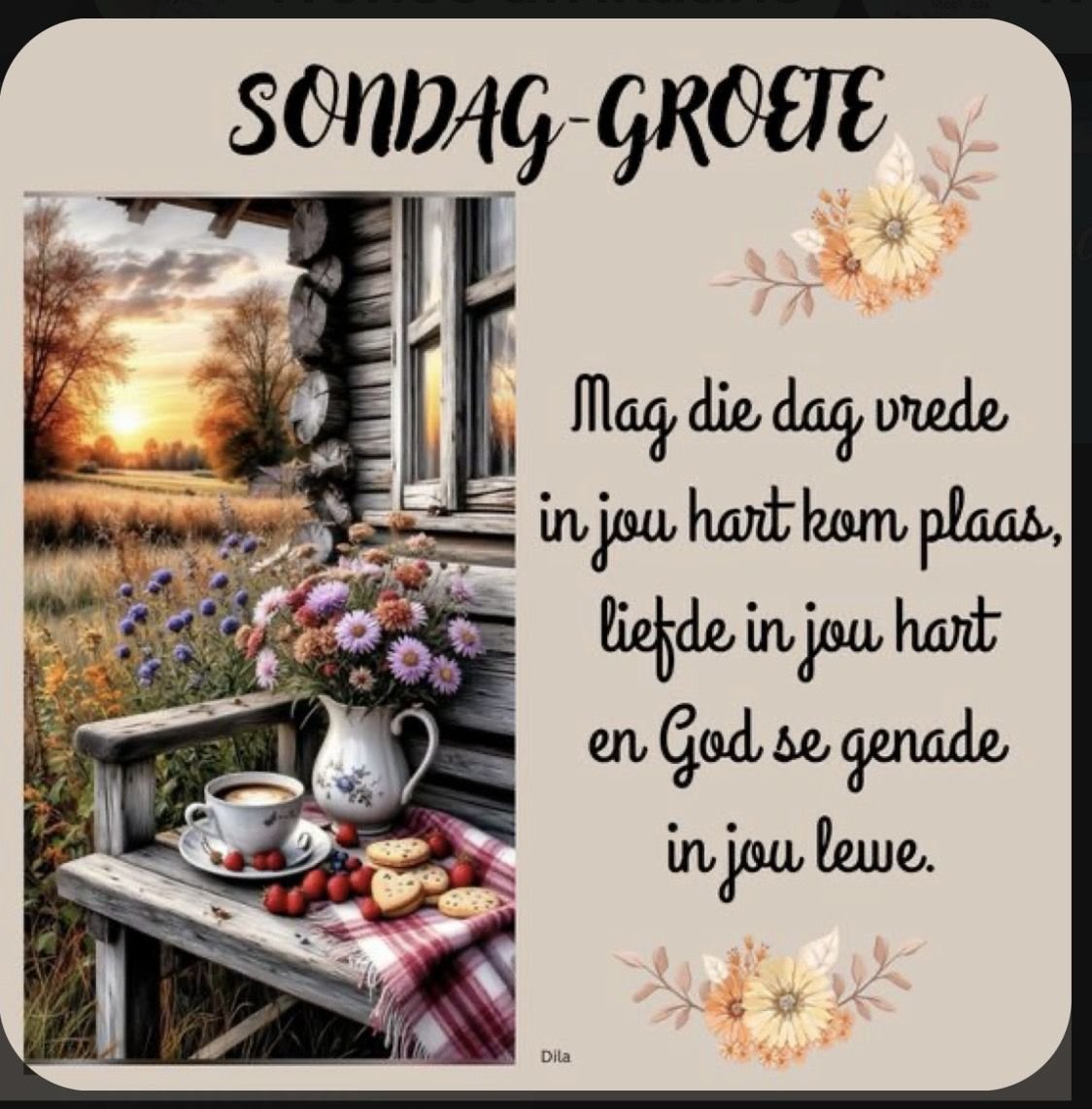 Anton ♍ tweet media