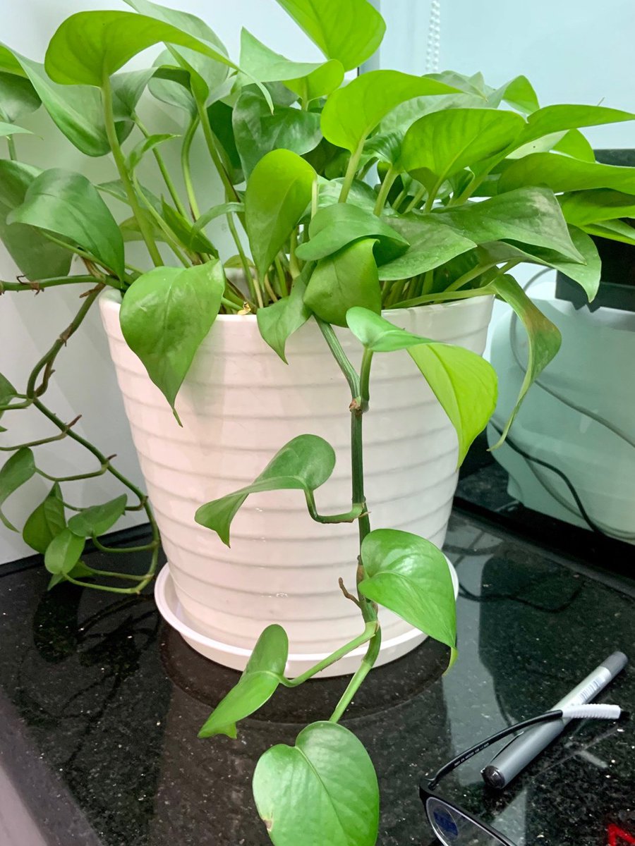 John Pricher tweet media