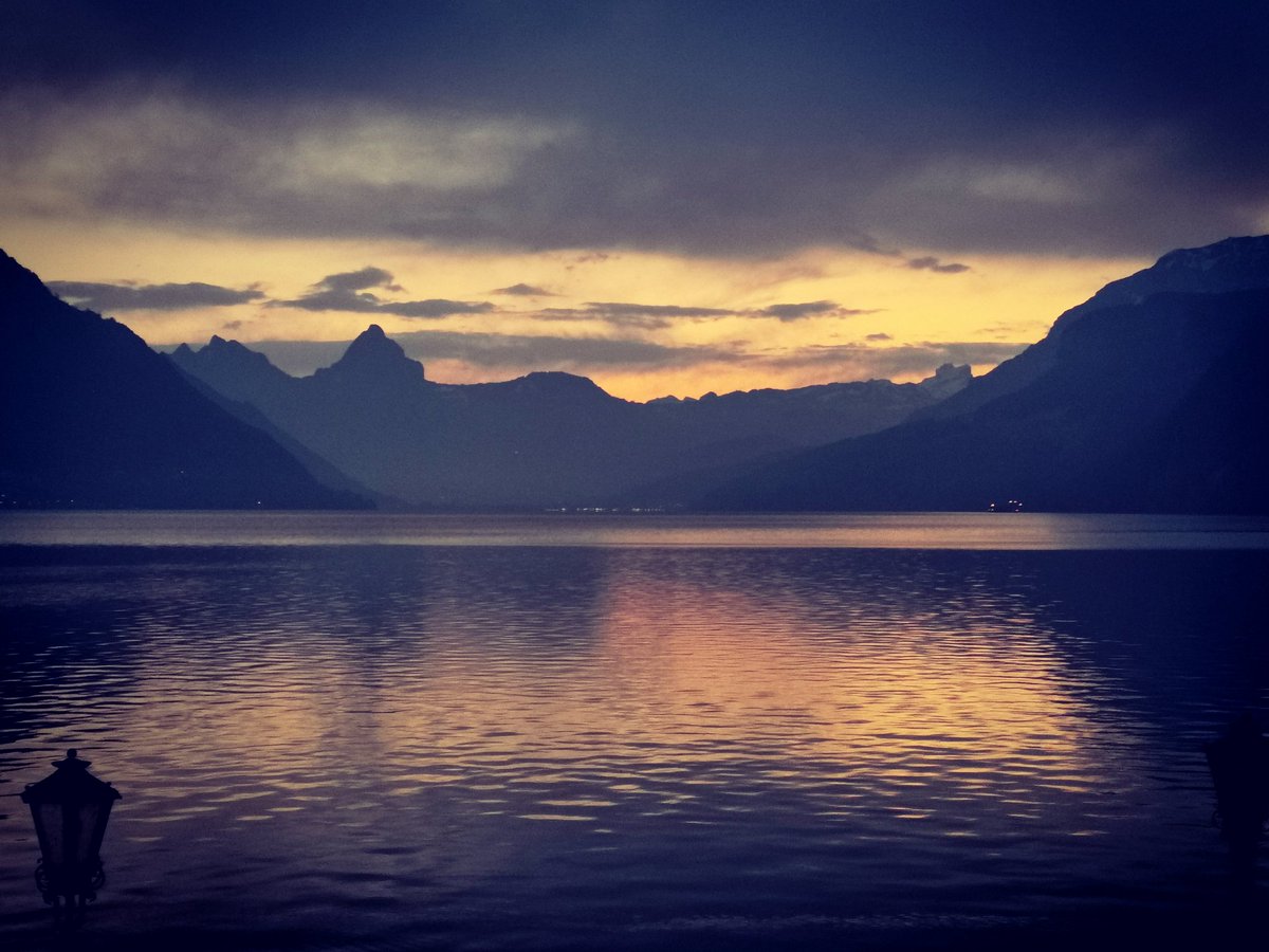 Jeannette Frieden tweet media