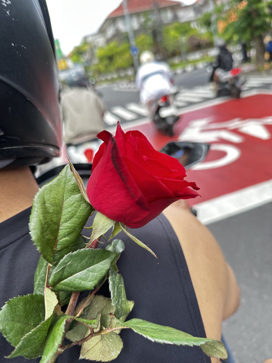 cubone 🦴 tweet media