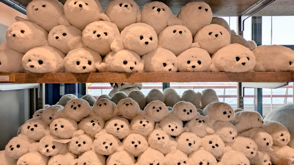 miii🦭 tweet media