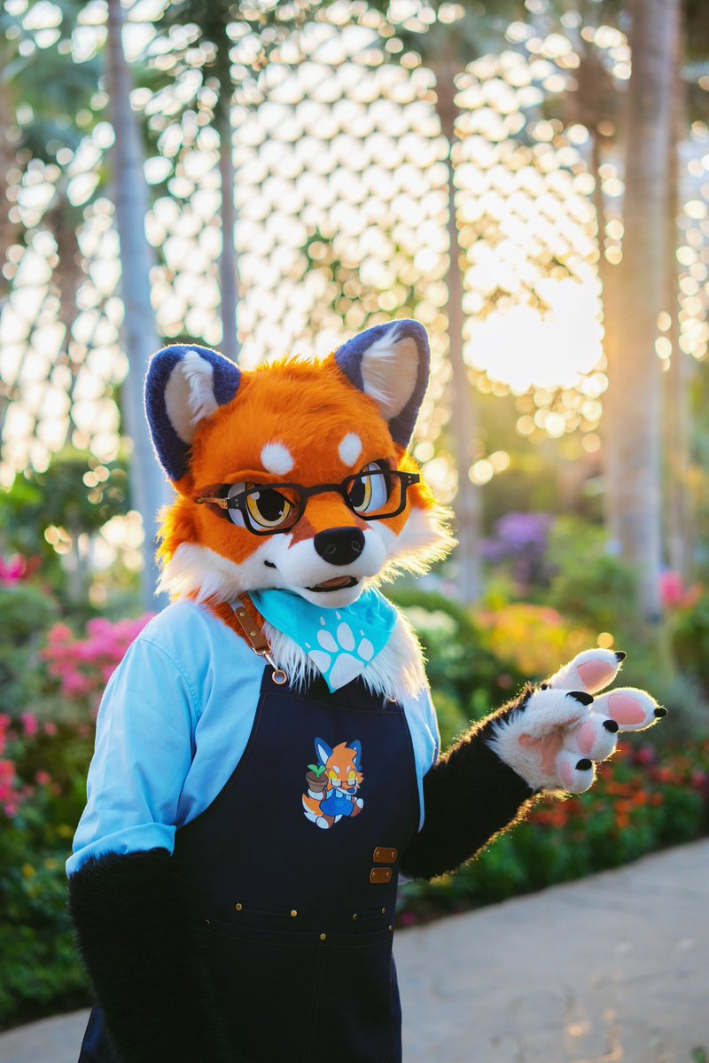 大坏狐狸 tweet media