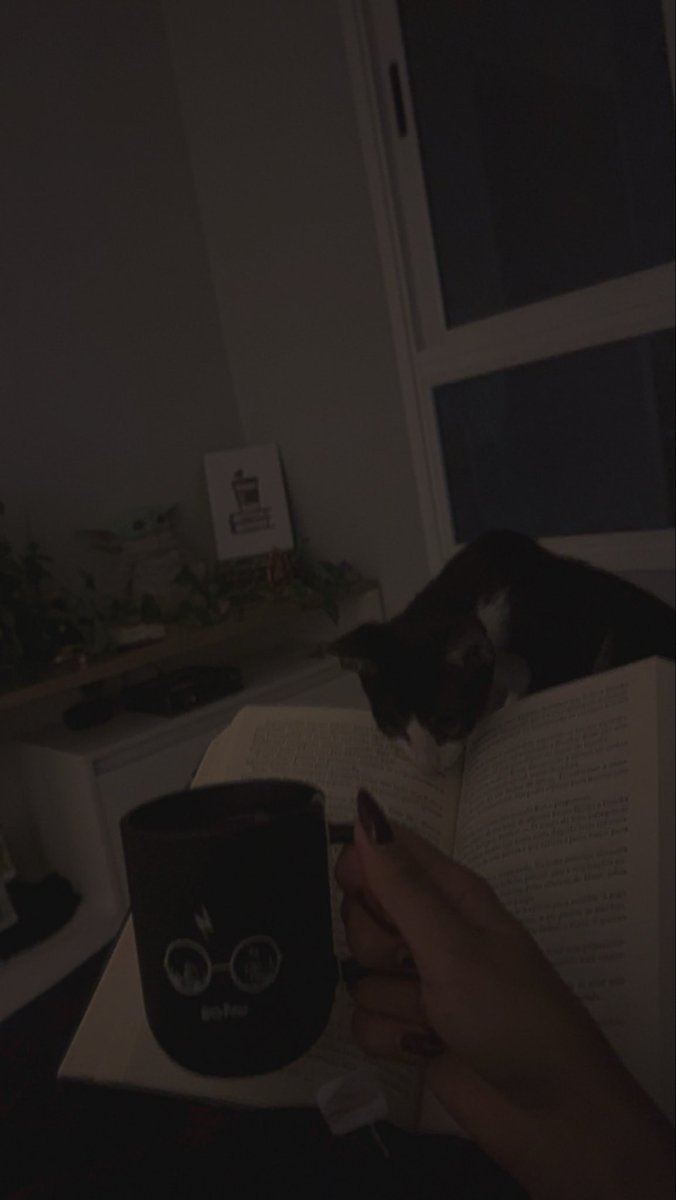 ale_maito's tweet photo. Toda vez que eu pego um livro para ler, o Axel fica andando por cima do livro, ou ele simplesmente coloca a cabeça na frente do livro como quem diz “ o que é isso que está roubando a sua atenção de mim mãe?”. https://t.co/0Tp75vpRX5