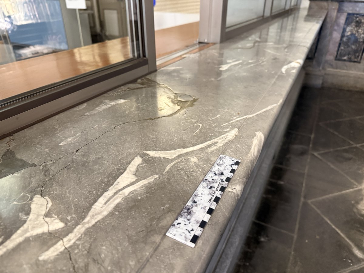 西本昌司 / Shoji Nishimoto tweet media