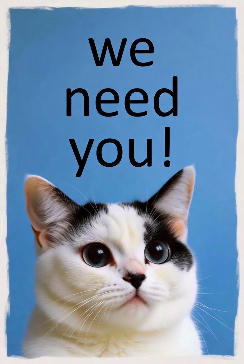 Meowcoin tweet media