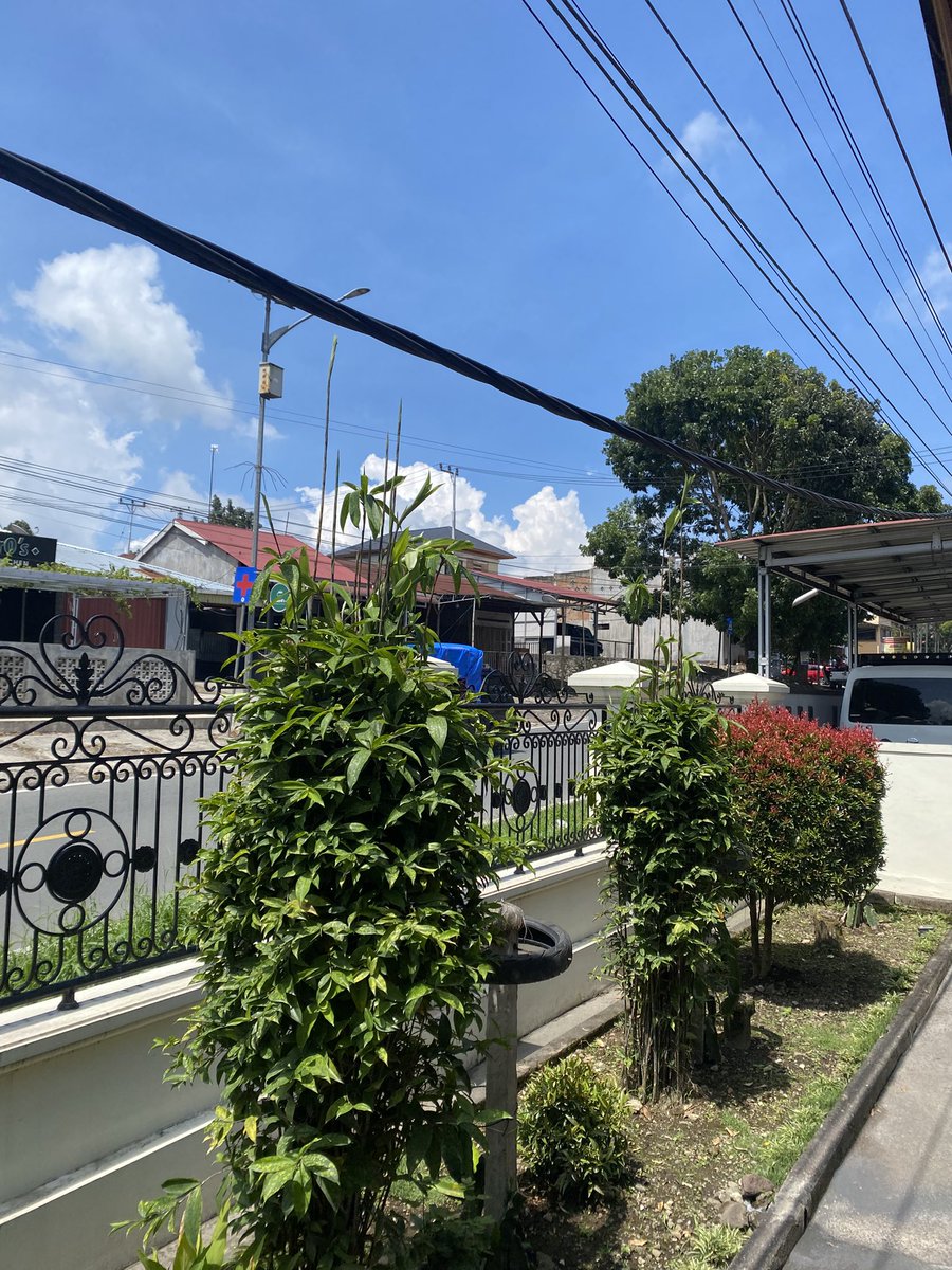 cowlicks_js's tweet photo. Halo @pln_123, tolong atensinya buat kabel menjuntai di Jl. Bukittinggi-Payakumbuh, dekat Puskesmas Baso. Udah 5 tahun lho ini dibiarkan, sangat membahayakan warga. Berkali-kali telepon CS cuma jawab 'iya'. Tolong segera dieksekusi ya! https://t.co/xmLT4GTQla
