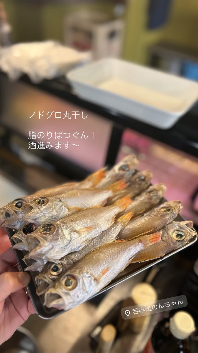 呑み処のんちゃん tweet media