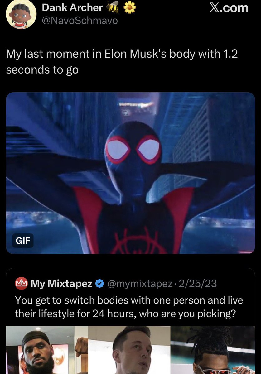 mingo 🎰 tweet media