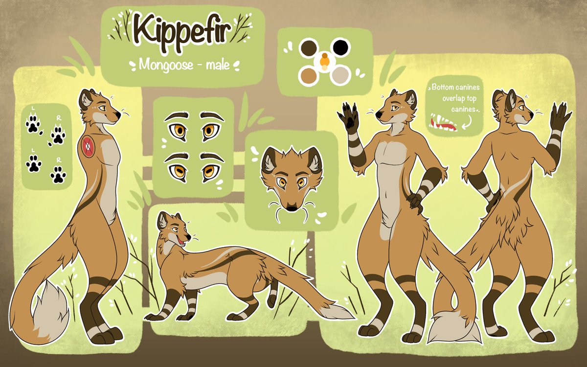 Kippefir🔜LVFC,AC,MP tweet media