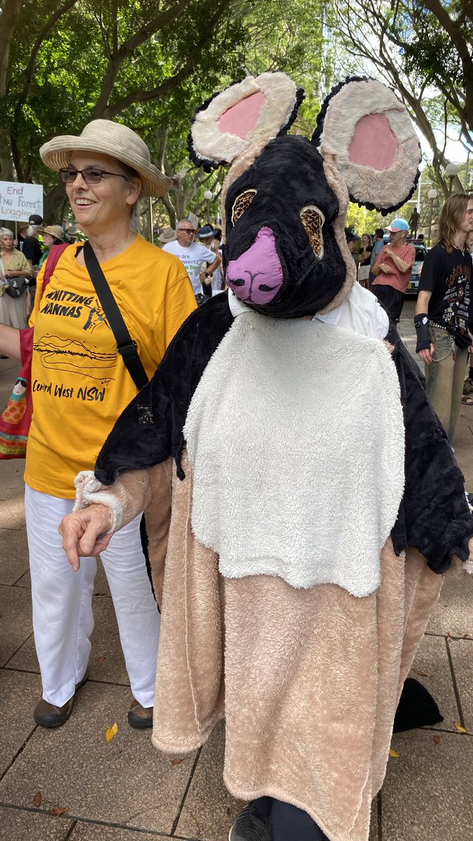 knitnannasSYD's tweet image. Sorry I can’t babysit today I’m at the Bob Brown March for #Forest event in Sydney dressed as a Greater Glider an Australian animal now endangered by native forest logging in NSW. 

40 degrees celsius in this damn suit. Can collect kids from daycare tomorrow. Love Nanna Bron x