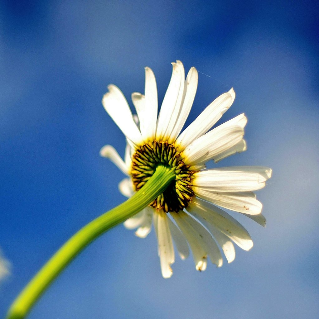 World of StatHistics tweet media