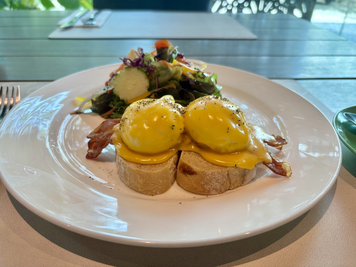 Saijo｜写真家 tweet media