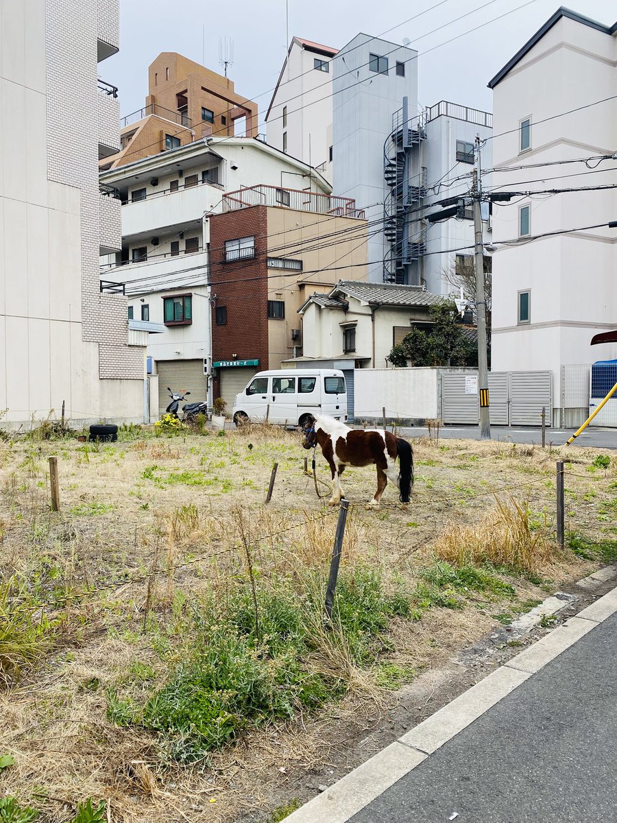 神戸くまえもん tweet media