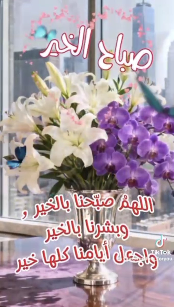 عيون الصقر tweet media