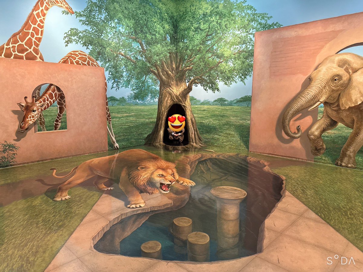 ぶーちゃん🍒✨ tweet media