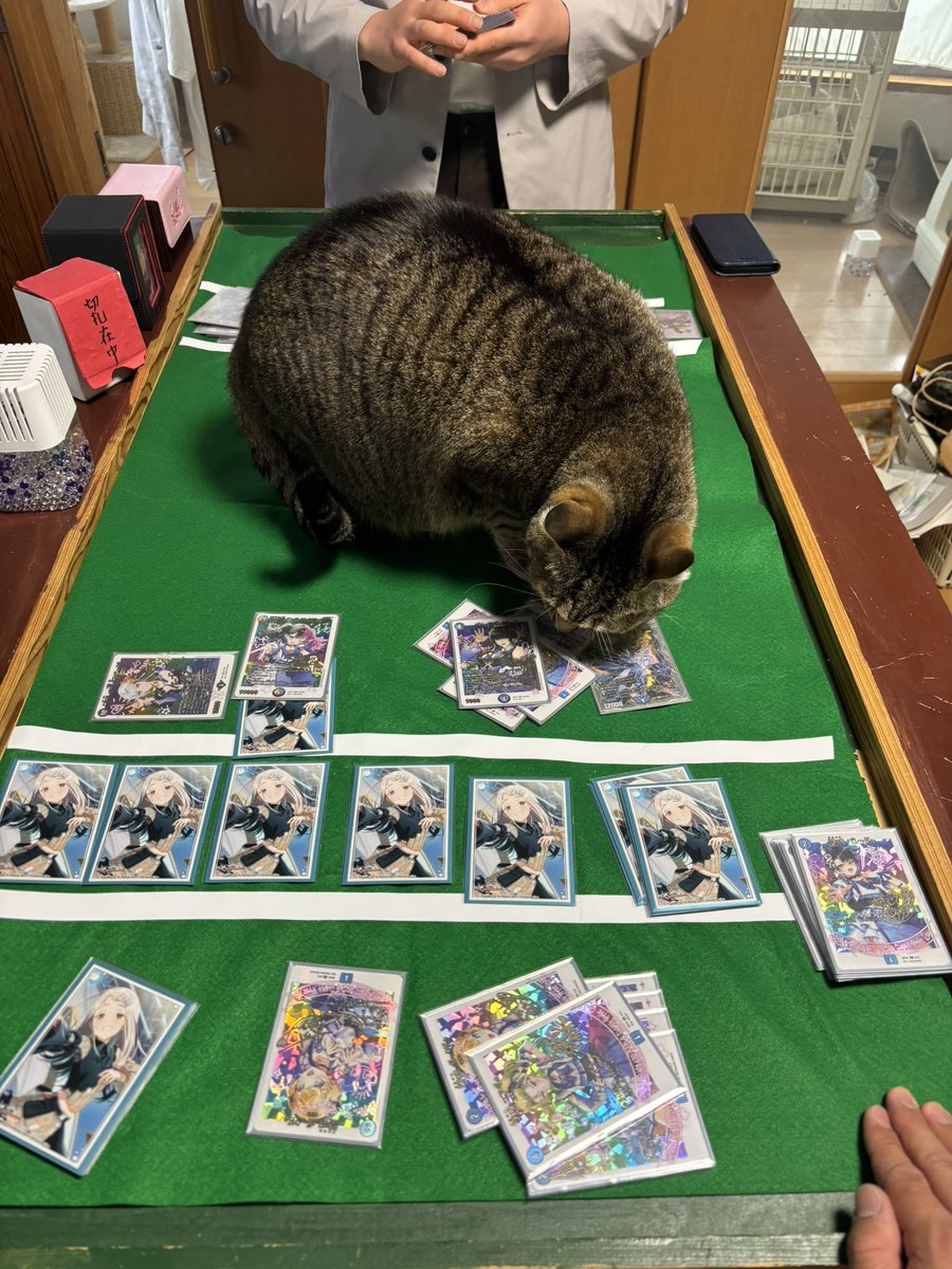 ちひろ tweet media