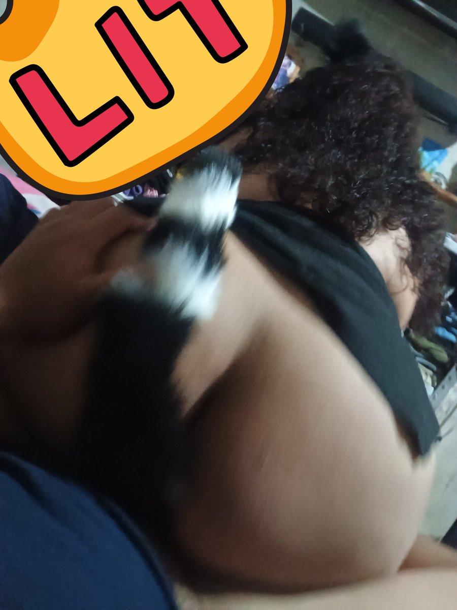 Que tal se ven las dos colitas 

¿Cuál te gusta más?

1🍑
o
2🦨