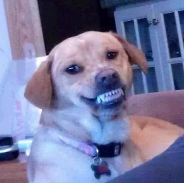 ˚⋆𐙚.RUBY𖦹.ᡣ𐭩˚ ₍ᐢ. ̫.ᐢ₎Vtuber ₍ᐢ. ̫.ᐢ₎ DebutSoon tweet media