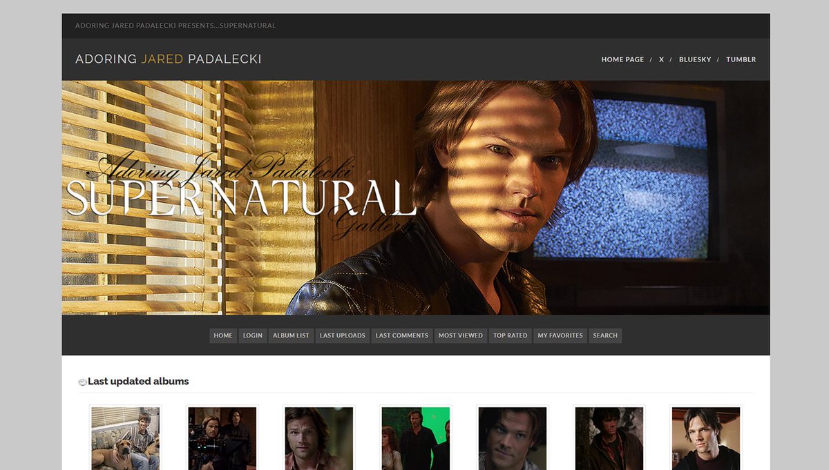 If So Girl (Adoring Jared Padalecki) tweet media