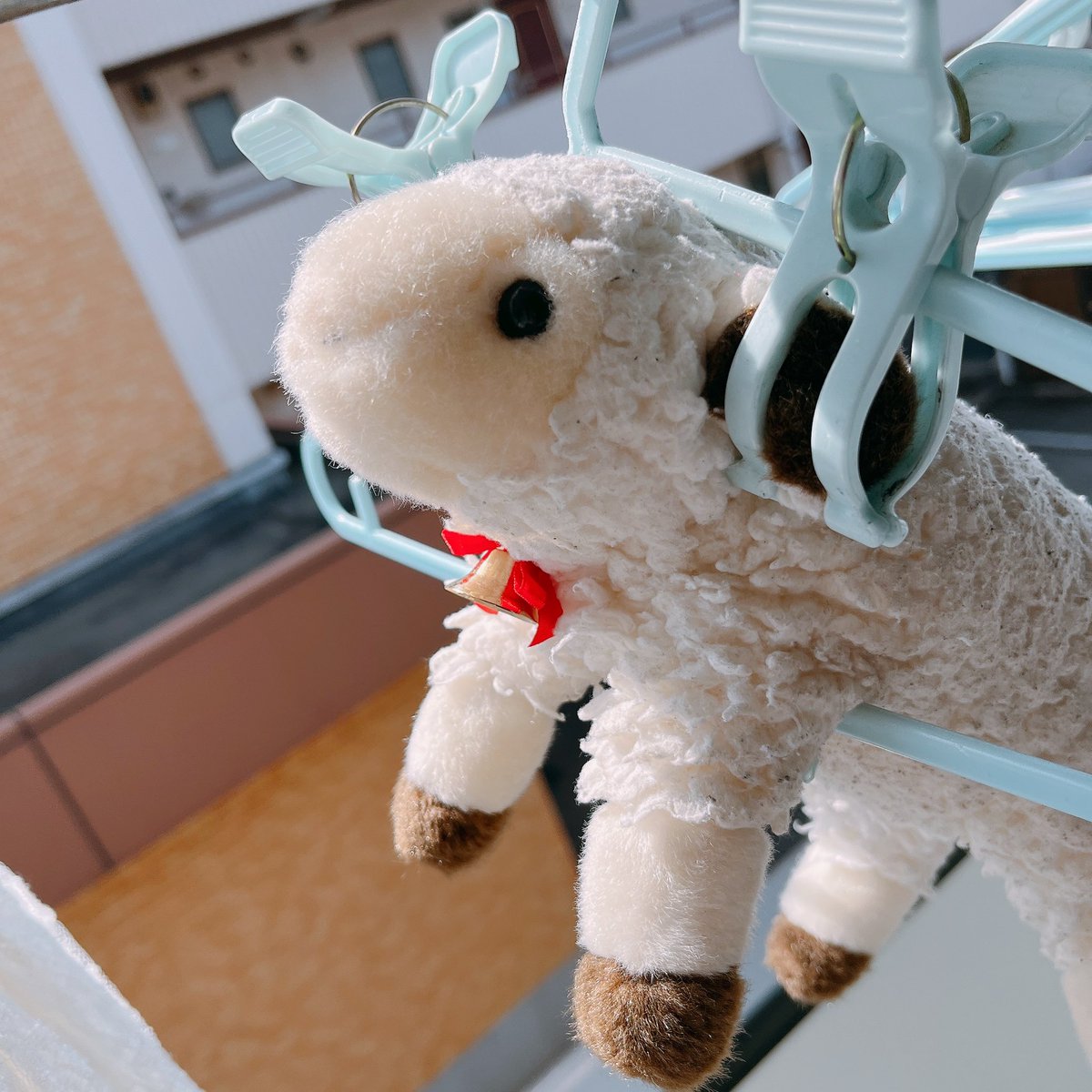 PENYO@03/30（月）新宿Azzitto1224（サンテラOP🎤） tweet media