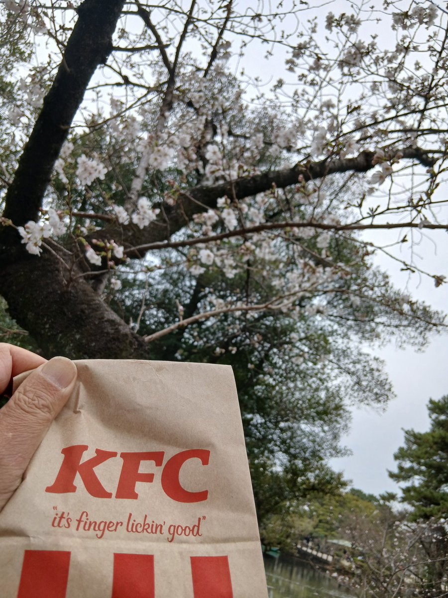 大須ブログ tweet media