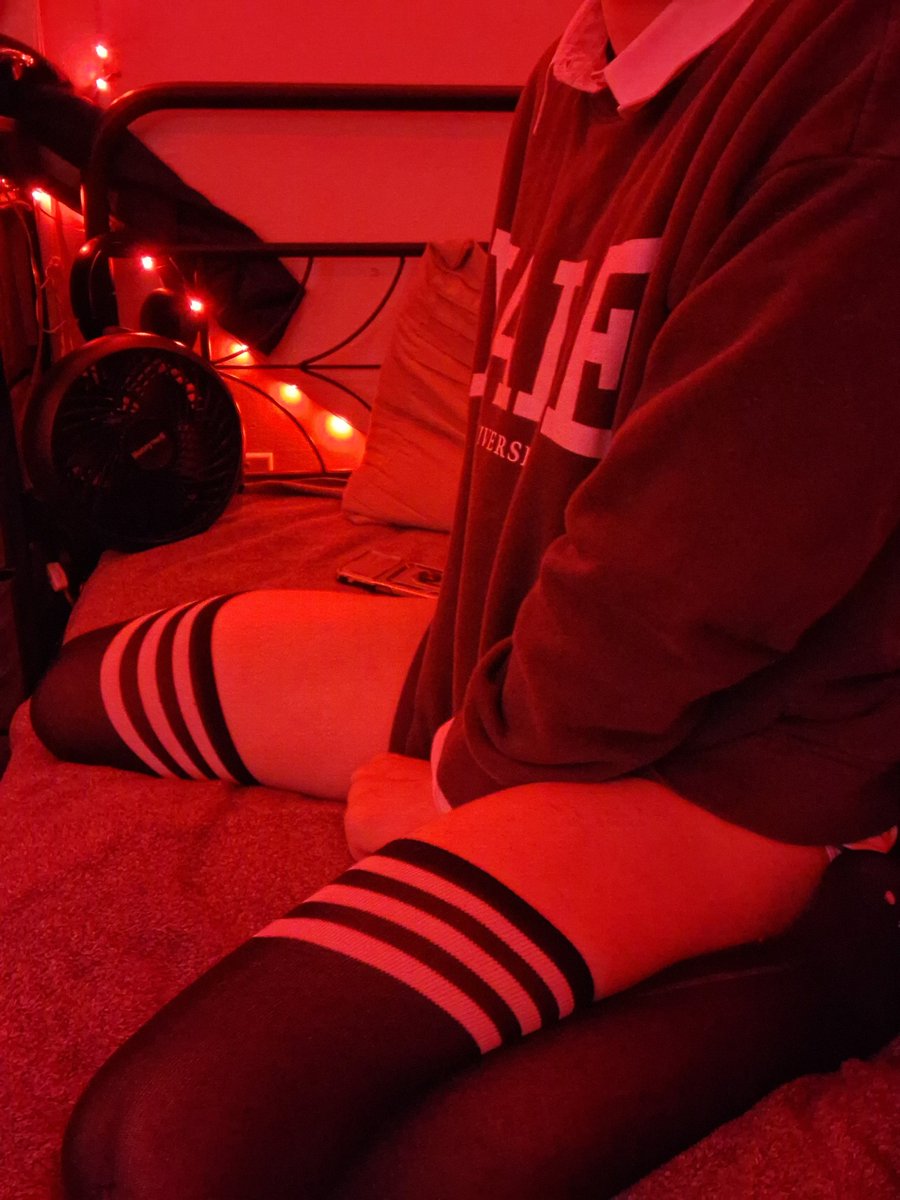 ❄️SneakyFox❄️ tweet media