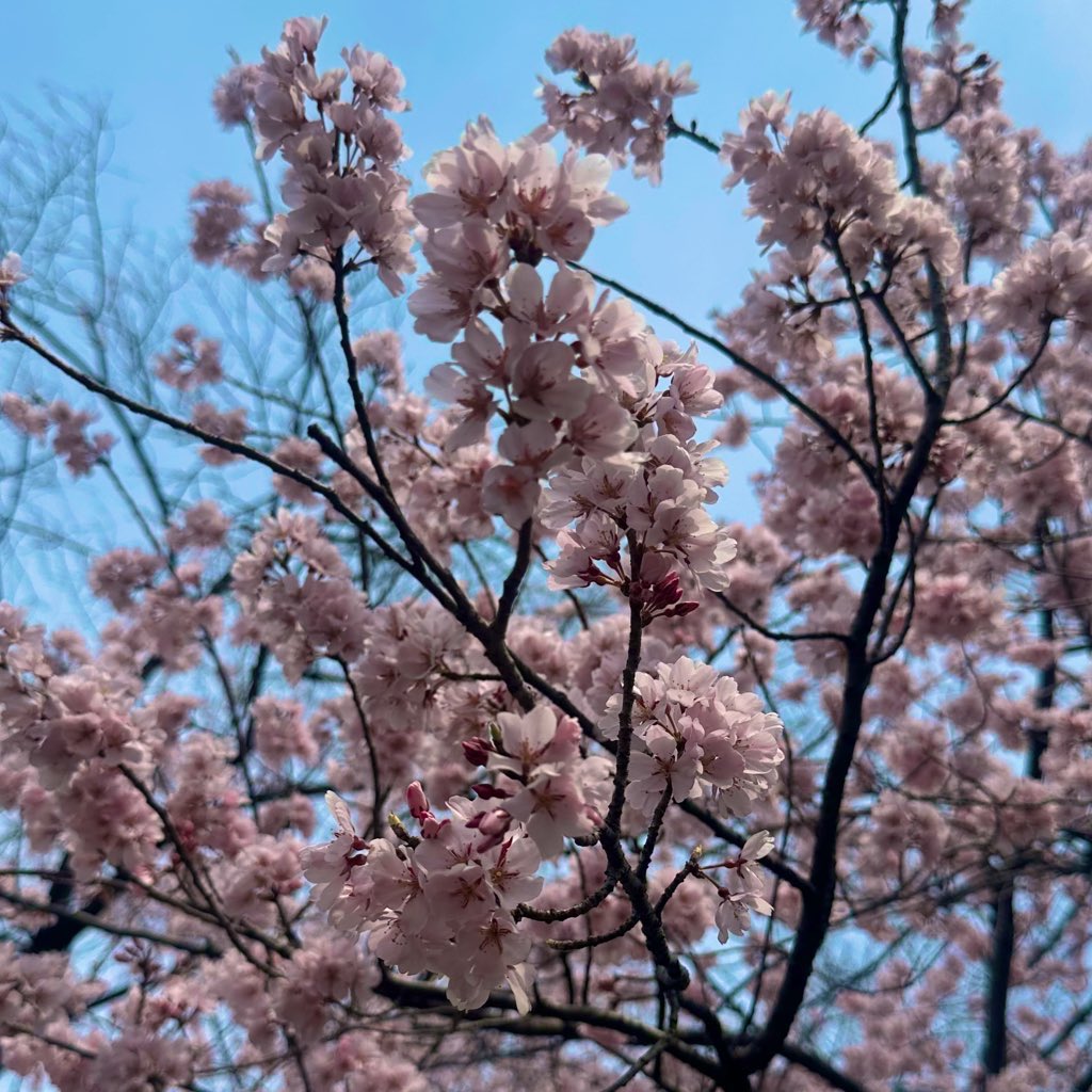 Metal Master Brewing tweet media