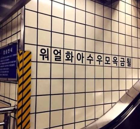 집밥채채🏠 tweet media