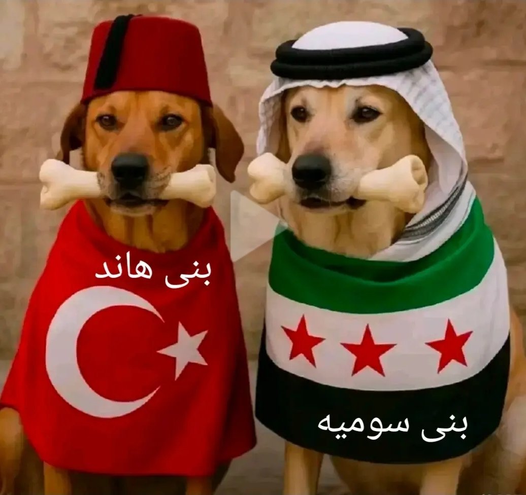 ROJA AVA Kurdestna tweet media