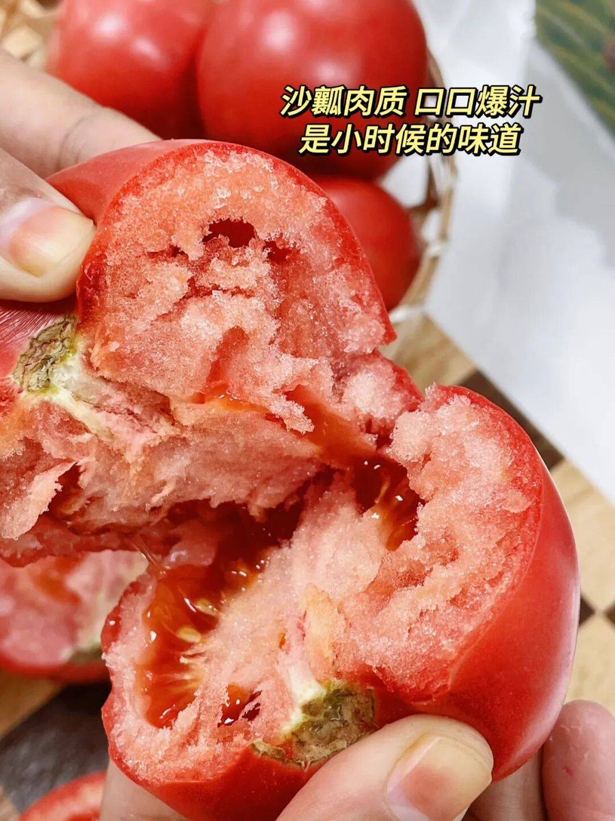 alyze dreiling tweet media