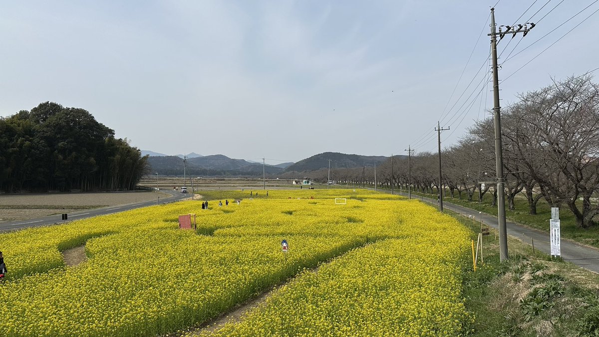 TK RoadBiker tweet media