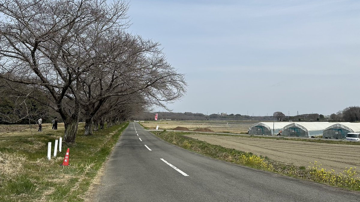 TK RoadBiker tweet media