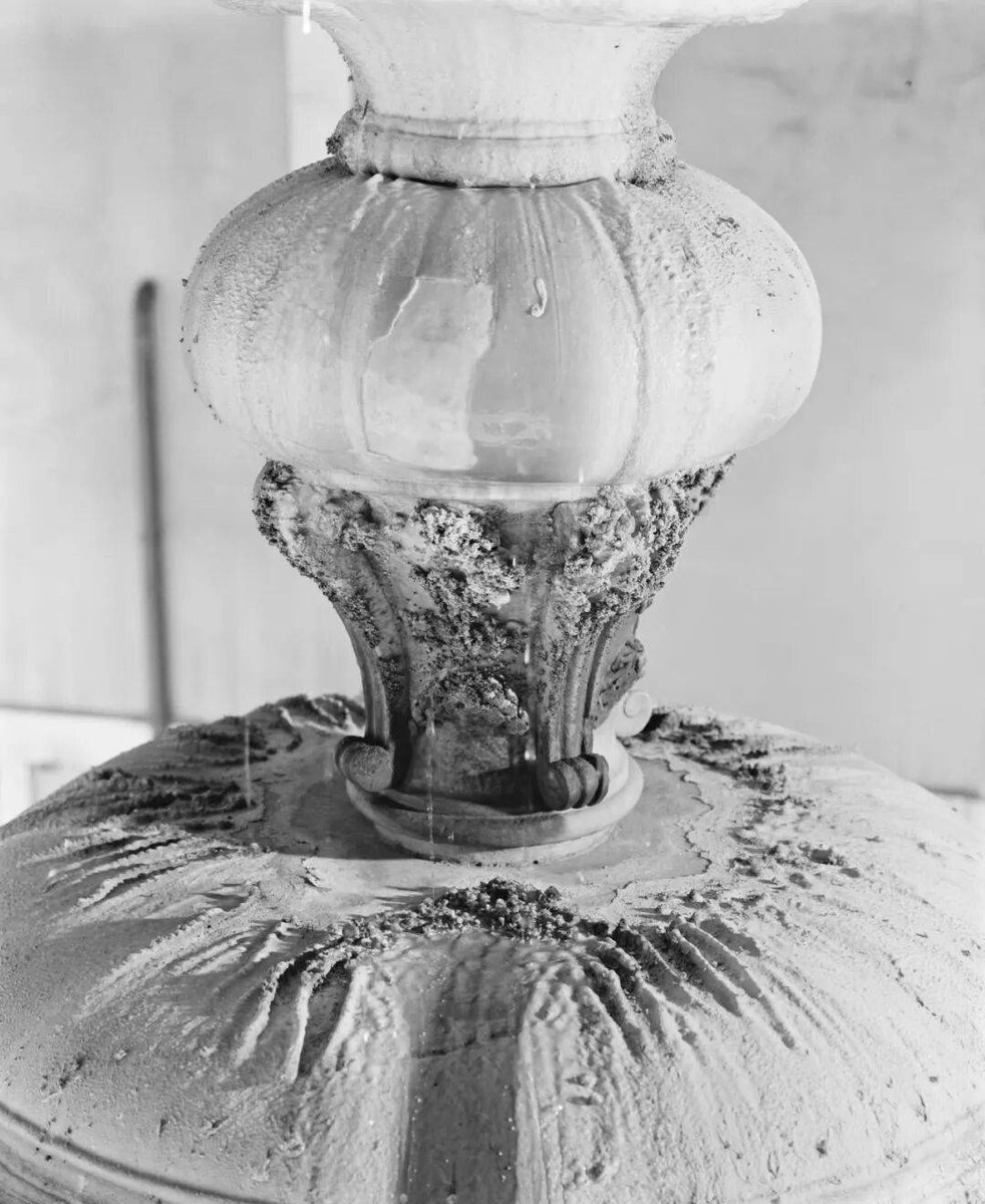 sultan alkendi tweet media