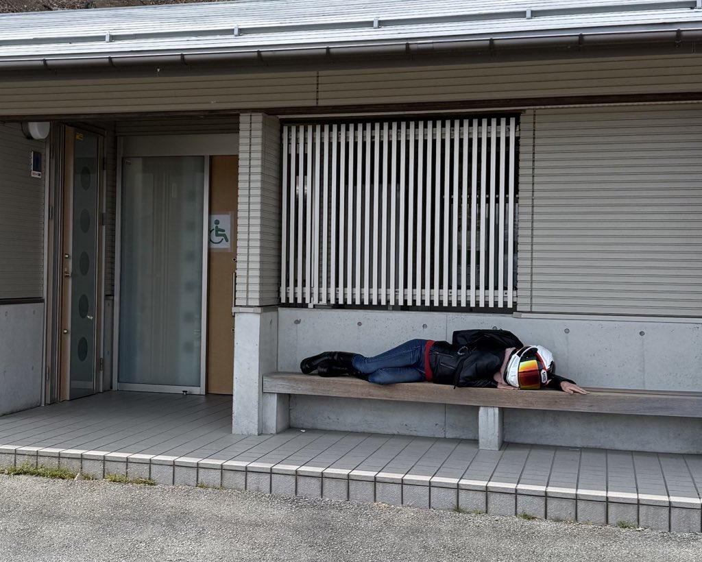 𓍼𓍢ִ໋🌷͙֒さいちゃん𓍼𓍢ִ໋🌷͙֒ tweet media