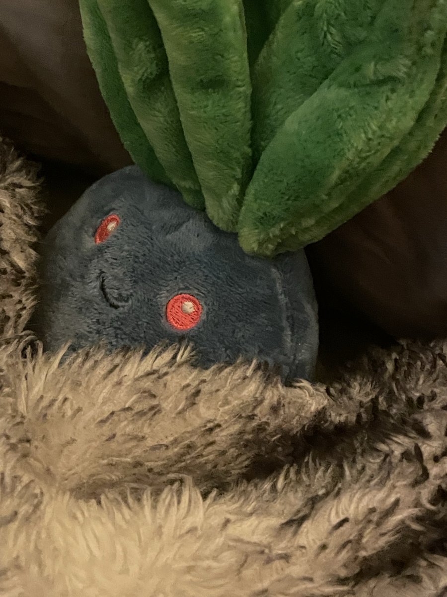 Heme Hinketsuki 🅰️ tweet media