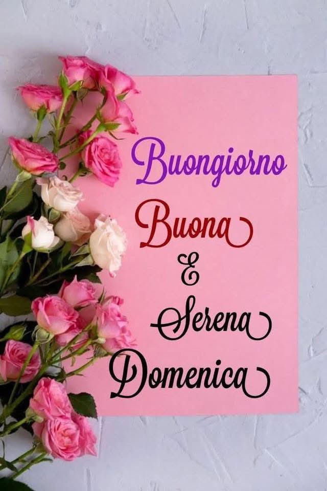 Meroni Daniele tweet media