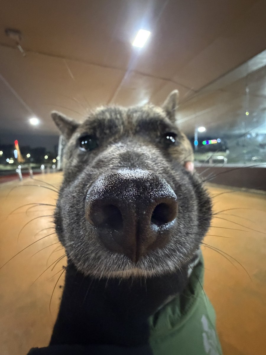 새콤이 tweet media