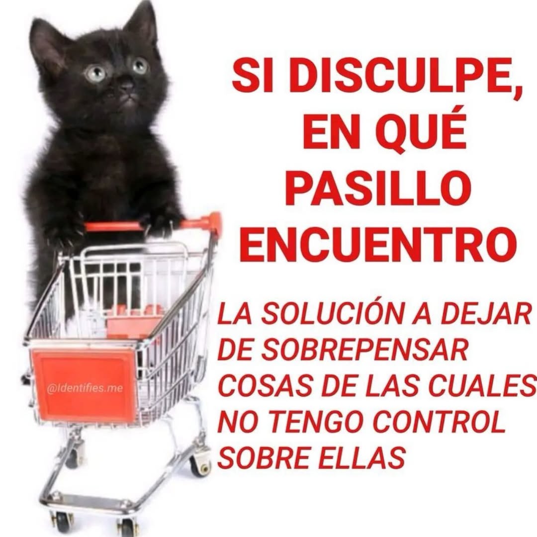 bauldefrases tweet media