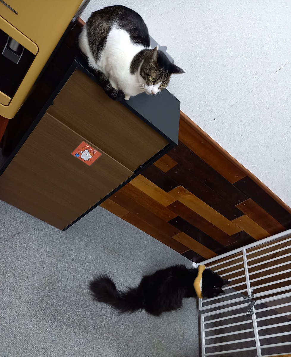 浜崎祥悟 tweet media