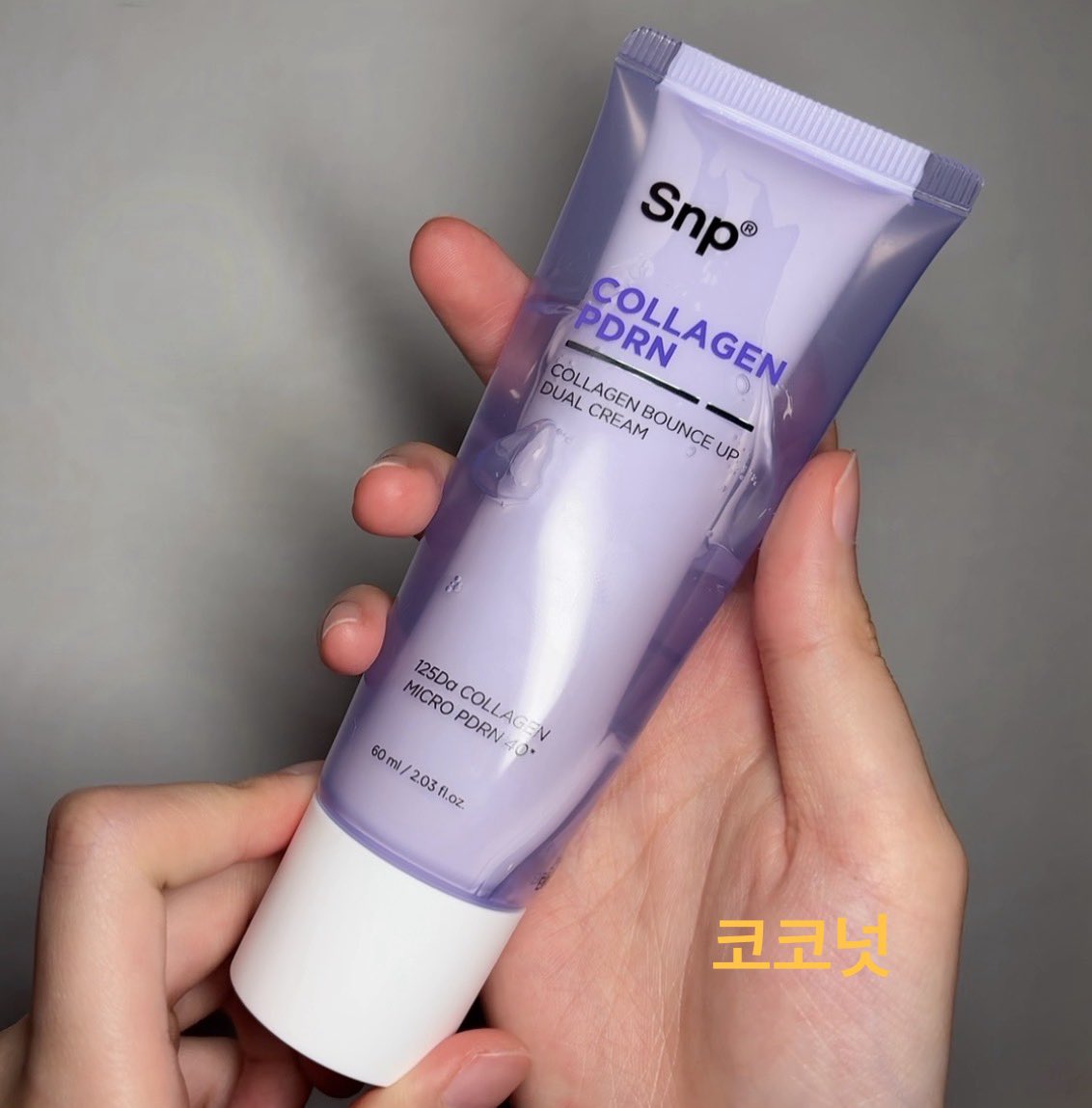 코코넛 tweet media