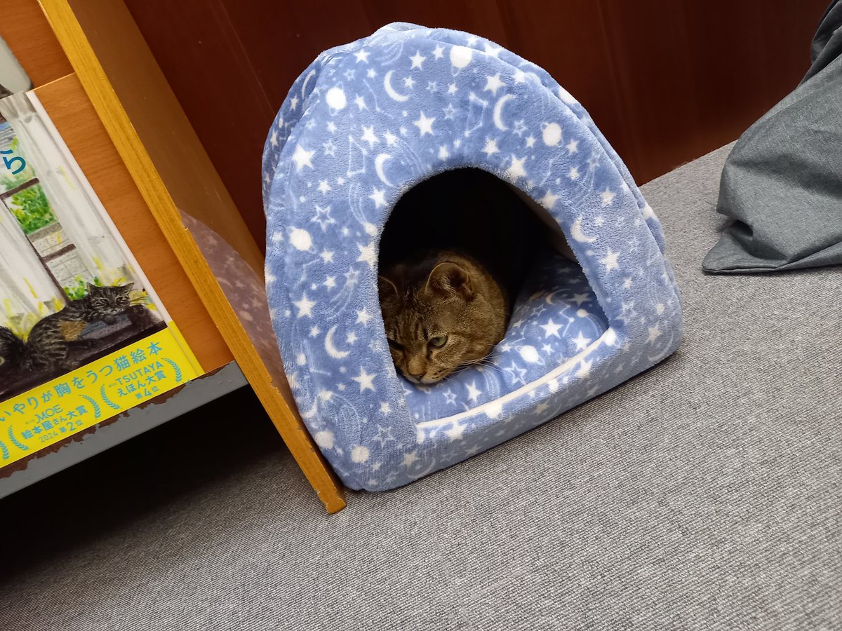 浜崎祥悟 tweet media